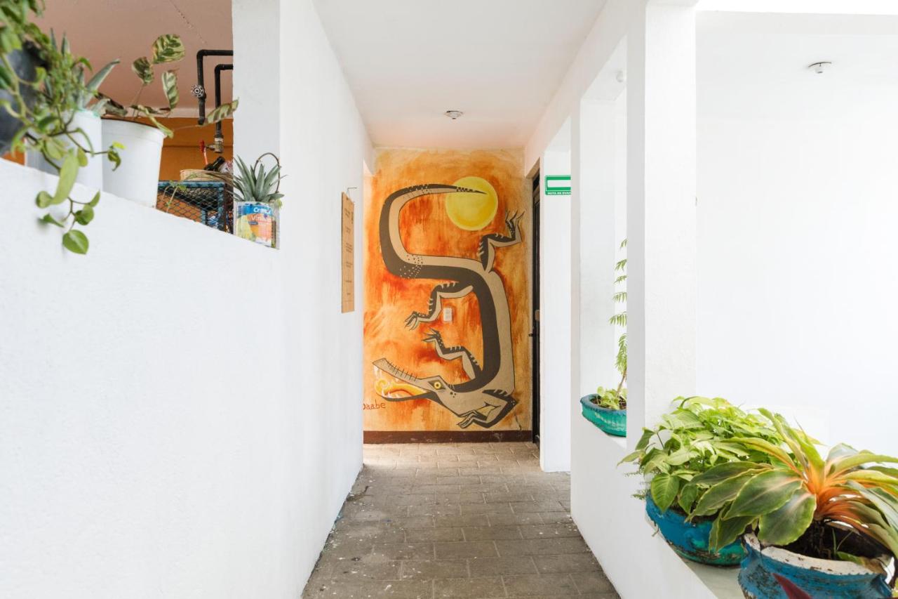 Хостел Residencia Artistica Пуэрто-Эскондидо Экстерьер фото